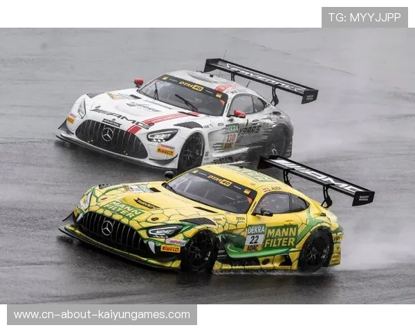 赛车耐力赛迎来强度提升，多支车队战略自由度增加