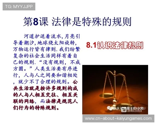 裁判判罚争议案例入法学院教材用于教学与研究,裁判规则研究 裁判判罚争议案例入法学院教材用于教学与研究,裁判规则研究