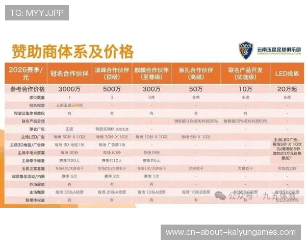 职业俱乐部的赞助商匹配度分析